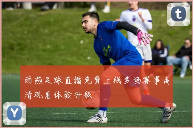 雨燕足球直播免费上线多场赛事高清观看体验升级