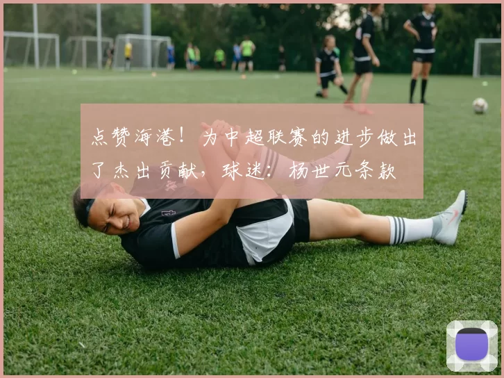 点赞海港！为中超联赛的进步做出了杰出贡献，球迷：杨世元条款