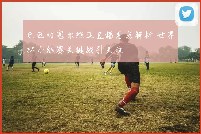 巴西对塞尔维亚直播看点解析 世界杯小组赛关键战引关注