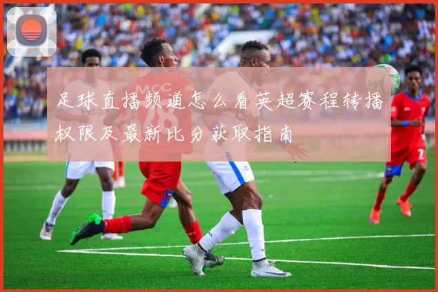 足球直播频道怎么看英超赛程转播权限及最新比分获取指南