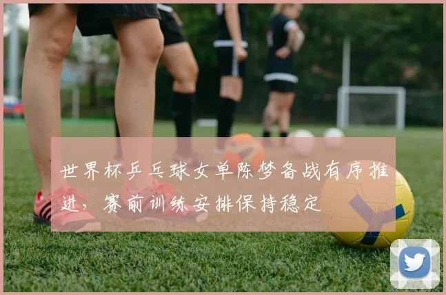 世界杯乒乓球女单陈梦备战有序推进,赛前训练安排保持稳定