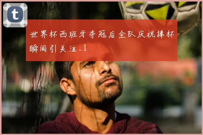 世界杯西班牙夺冠后全队庆祝捧杯瞬间引关注_1
