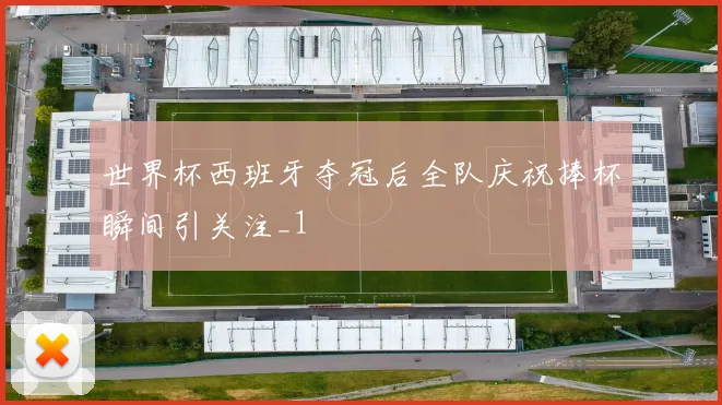 世界杯西班牙夺冠后全队庆祝捧杯瞬间引关注_1