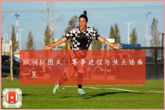 欧洲杯图文:赛事进程与焦点场面一览