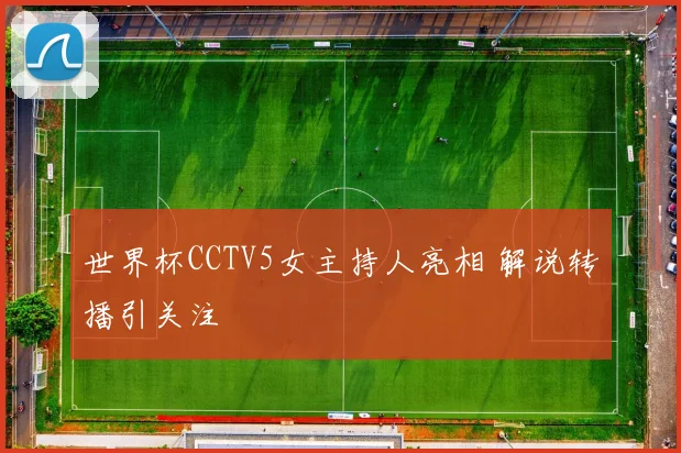 世界杯CCTV5女主持人亮相 解说转播引关注
